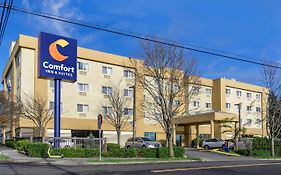 Comfort Inn & Suites Seattle Wa